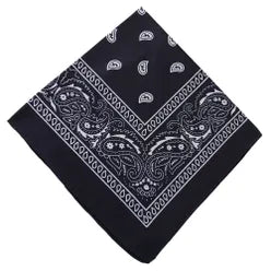 Paisley Bandana/ Neckscarf