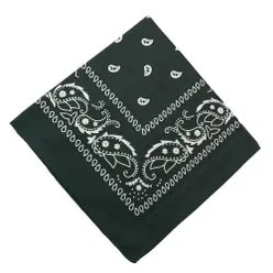 Paisley Bandana/ Neckscarf
