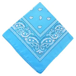 Paisley Bandana/ Neckscarf