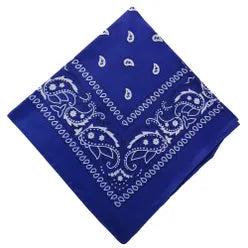 Paisley Bandana/ Neckscarf