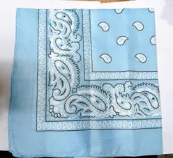 Paisley Bandana/ Neckscarf