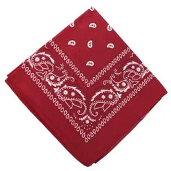 Paisley Bandana/ Neckscarf