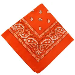 Paisley Bandana/ Neckscarf