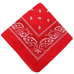 Paisley Bandana/ Neckscarf