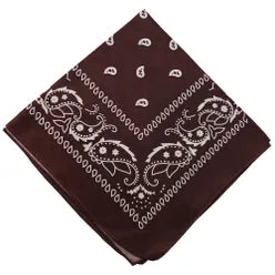 Paisley Bandana/ Neckscarf