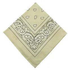 Paisley Bandana/ Neckscarf