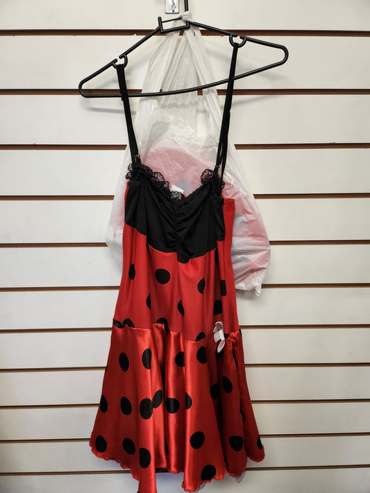 Ladybird Costume 12-14