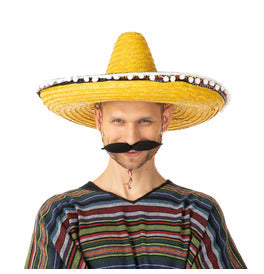 Mexican Sombrero Coloured