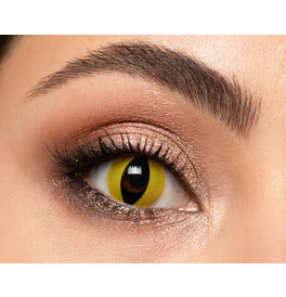 Mesmereyez Wild Cat Contact Lenses- One Day Use